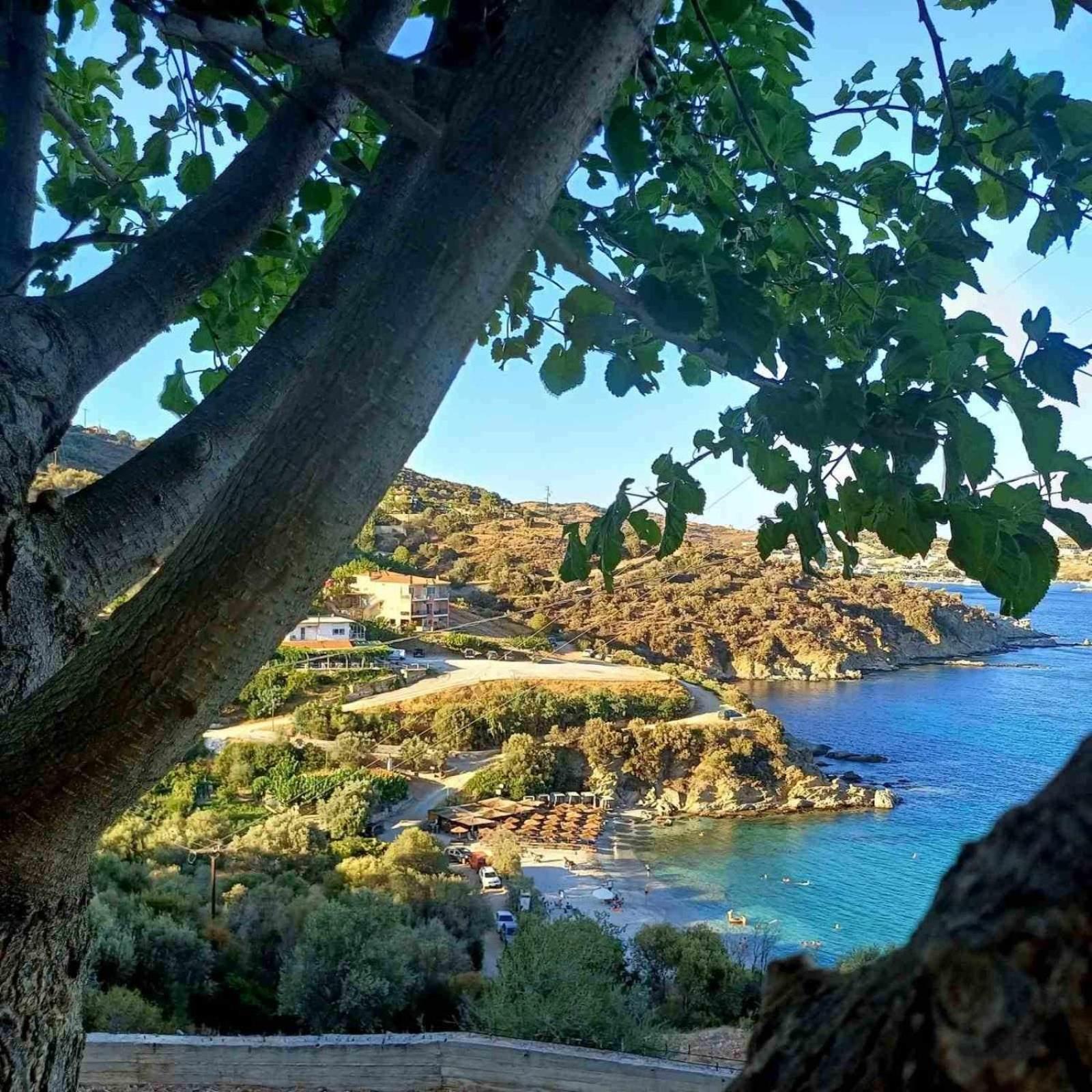 Aegean Beachfront *